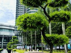 -吉隆坡国油双峰塔