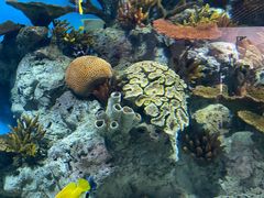 -福州罗源湾海洋世界旅游区