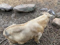 -苏州上方山国家森林公园