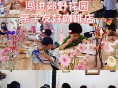 -嘉北郊野公园