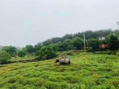 -黄陂区野村谷景区