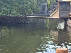 -石家庄市动物园