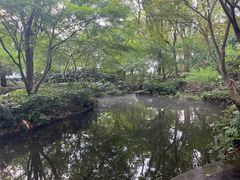 -绿城千岛湖喜来登度假酒店