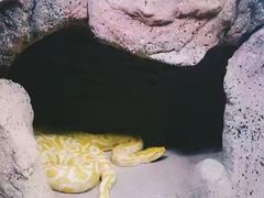 -福州罗源湾海洋世界旅游区