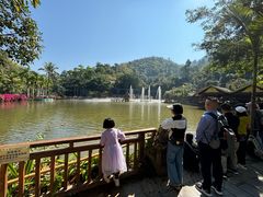 -西双版纳原始森林公园