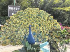 -西双版纳原始森林公园