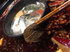 -重庆渝达老火锅(春熙路店)