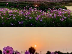 -花开海上生态园