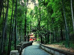 -灵岩山风景区