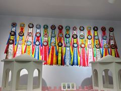 -青奢宠物·青奢猫舍