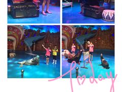 -烟台海昌鲸鲨海洋公园