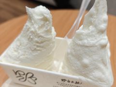 -野人先生现做冰淇淋(北京环宇荟店)