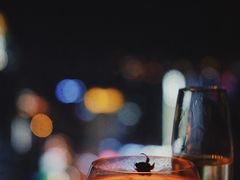 -无锡苏宁银河国际酒店·大堂酒廊