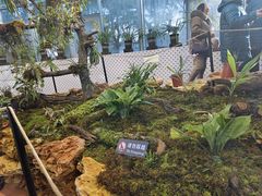 -国家植物园南园