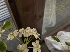 -MOJ coffee(瓯海泽雅水碓坑店)