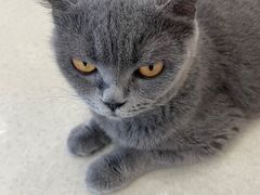 -共舞时光猫咖·狗咖(新街口店)