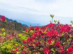 -大围山国家森林公园