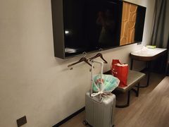 -和颐至尚酒店(上海陆家嘴浦电路地铁站店)