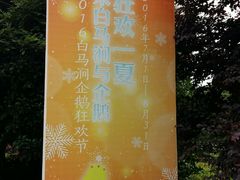 -白马涧龙池景区