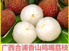 香山鸡嘴荔枝-香山鸡嘴荔枝