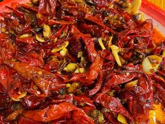 -柴窝堡22号辣子鸡·传承新疆菜