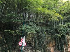 -上海佘山国家森林公园西佘山园