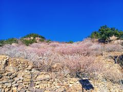 -崂山九水游览区