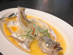 -杭州桐庐康莱德酒店西餐厅-舍