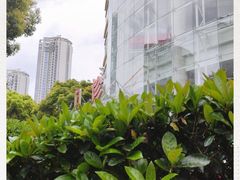 -复旦大学附属华山医院(总院)