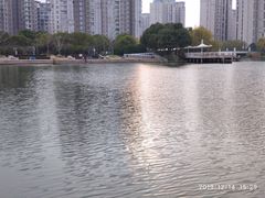 -新江湾城公园