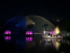 -奥兰多迪士尼动物王国乐园