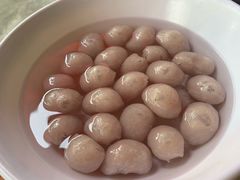 -章记正宗南岗鱼蛋火锅