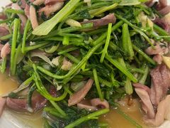 芫爆肚丝-玉林烤鸭店(定福庄店)