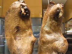 -大食代美食广场(上海中心店)