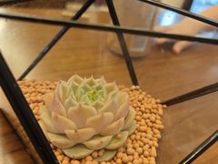 -杭州西溪喜来登度假大酒店