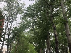 -清华大学-清芬园