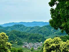 -龙井村