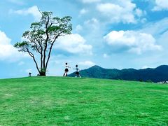 -东钱湖旅游度假区