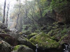 -驼梁风景区
