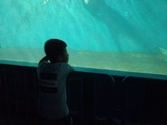 -北戴河圣蓝海洋公园