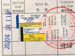 -申普宠物医院·心脏介入·心血管微创(总院)
