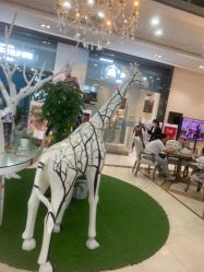 -同远QQBABY亲子摄影(北京路店)