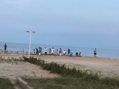 -日照海滨国家森林公园