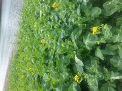 android_upload_pic-广州市石门国家森林公园