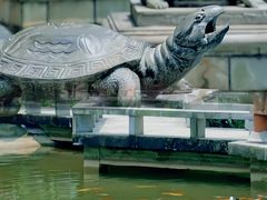 -广州神农草堂中医药博物馆