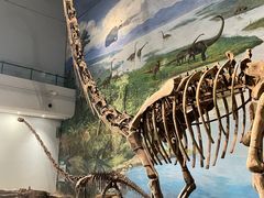 -自贡恐龙博物馆