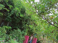 -小仙居·农家宴烤羊· 农庄