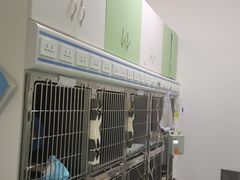 -汪喵宠物医院·骨科心脏影像·犬猫急重症ICU诊疗中心(成华分院)