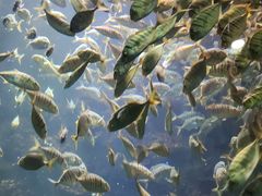 -海合安青岛极地海洋公园