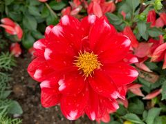 -龙环葡韵住宅式博物馆